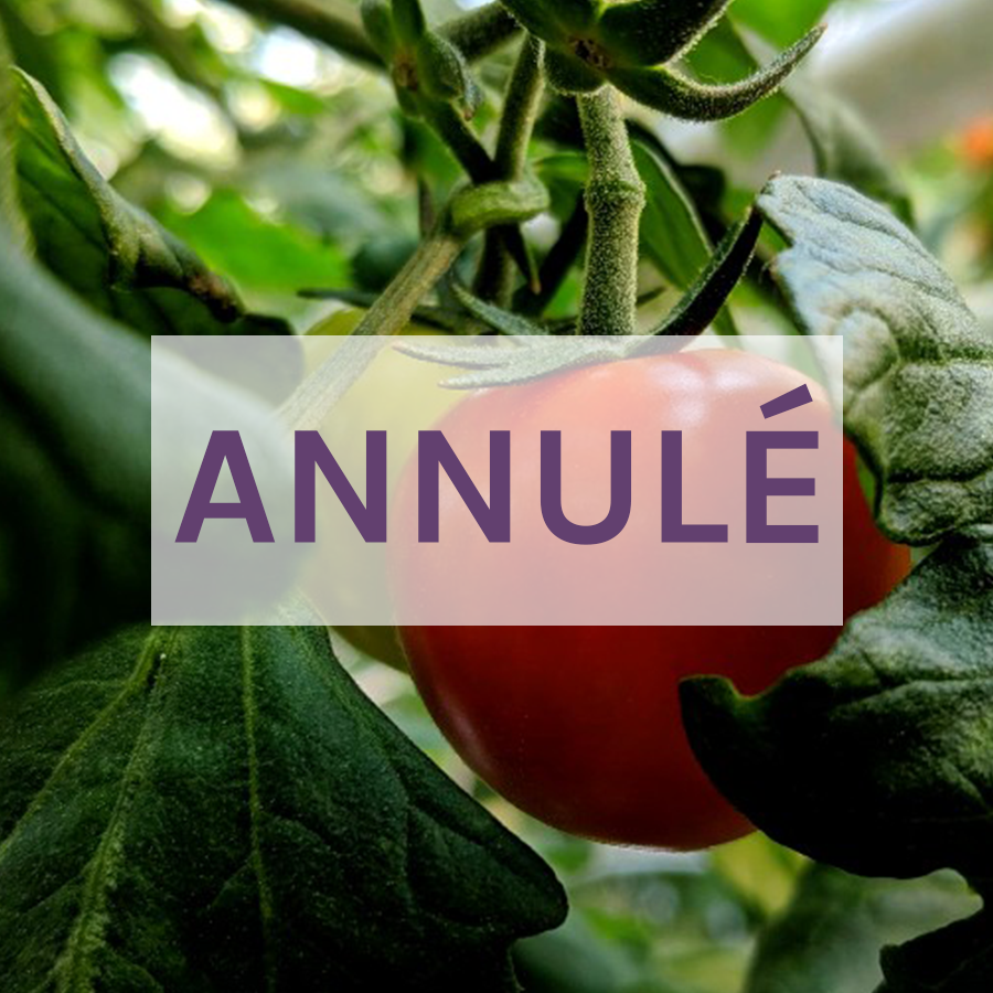 Sortie - Produits frais de la région