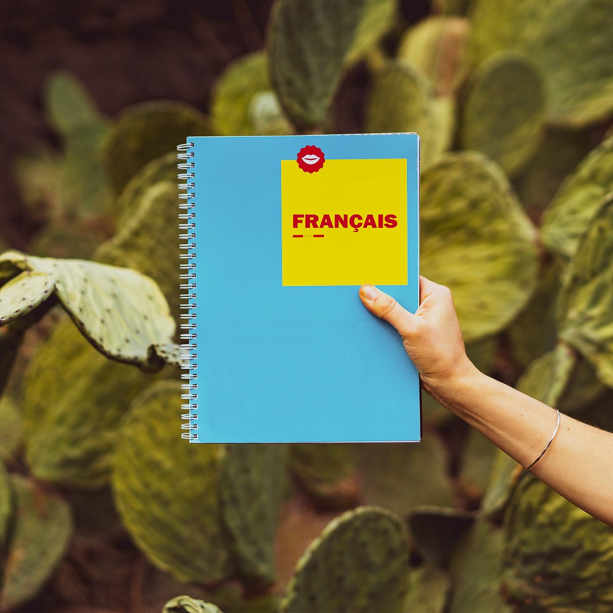 Automne 2019 - Français langue seconde - Intermédiaire