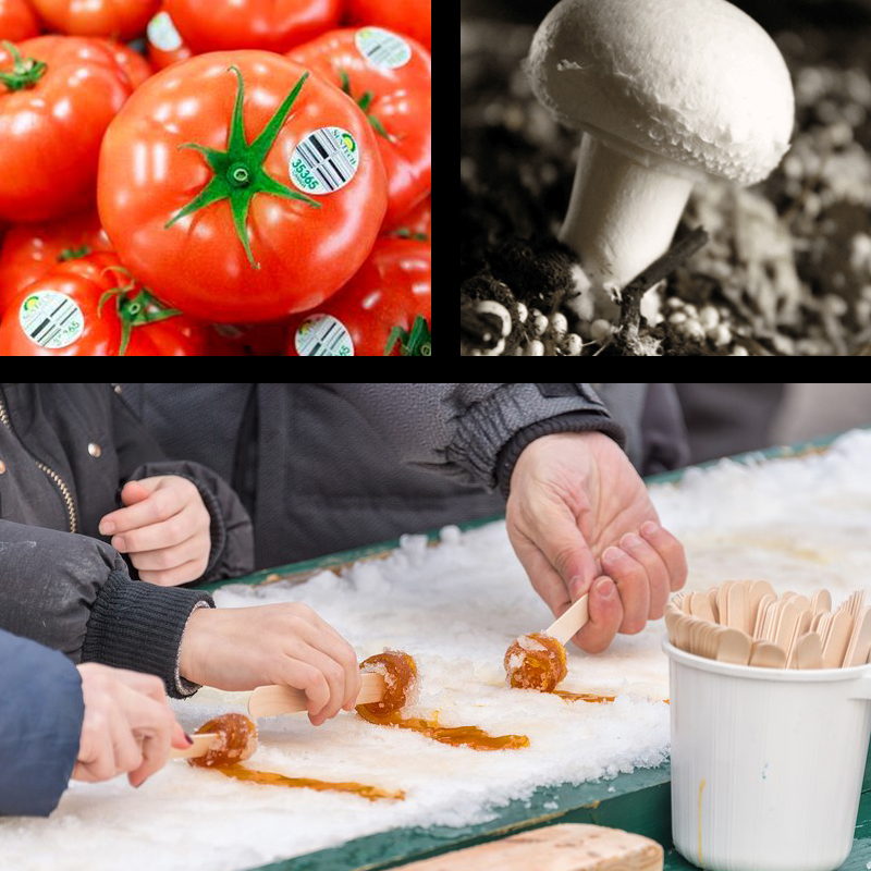 Sortie - Produits frais de la région